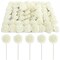 Bright Creations 3" Artificial Rose Flowers 60pcs Real Looking Fake Rose with Stem for DIY Wedding Bouquets and Bridal Shower, Cream
